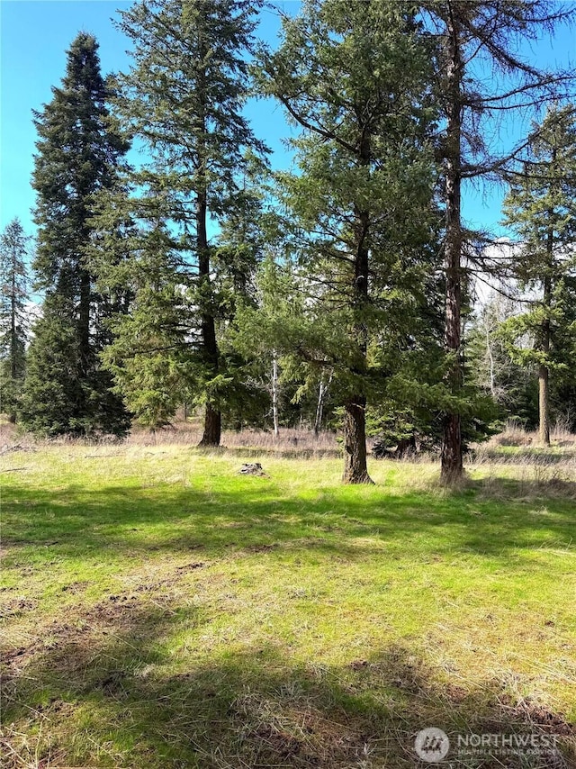 2100BLK E Eloika Lake Rd, Deer Park, WA 99006 - photo 18