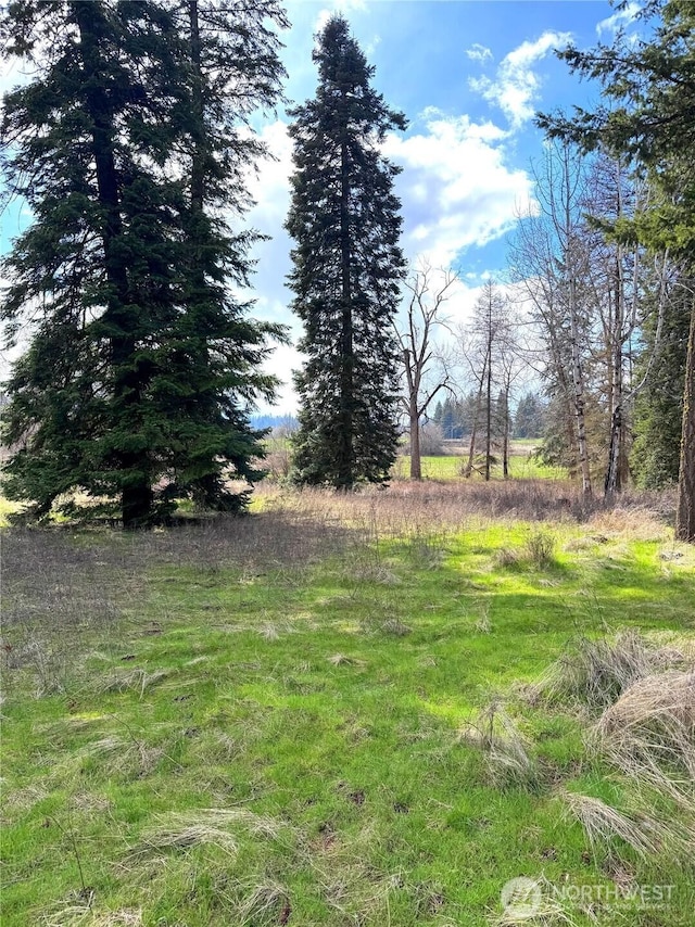 2100BLK E Eloika Lake Rd, Deer Park, WA 99006 - photo 19