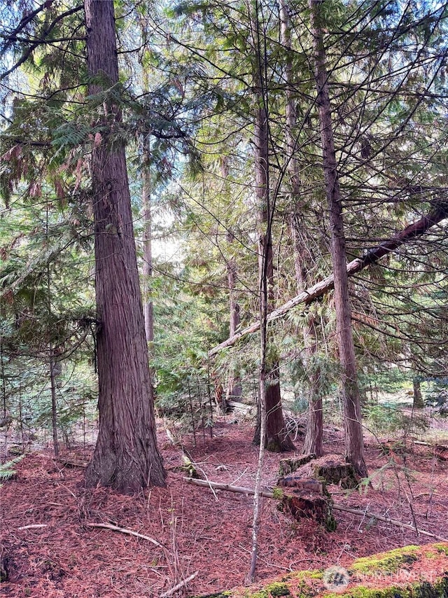 2100BLK E Eloika Lake Rd, Deer Park, WA 99006 - photo 21