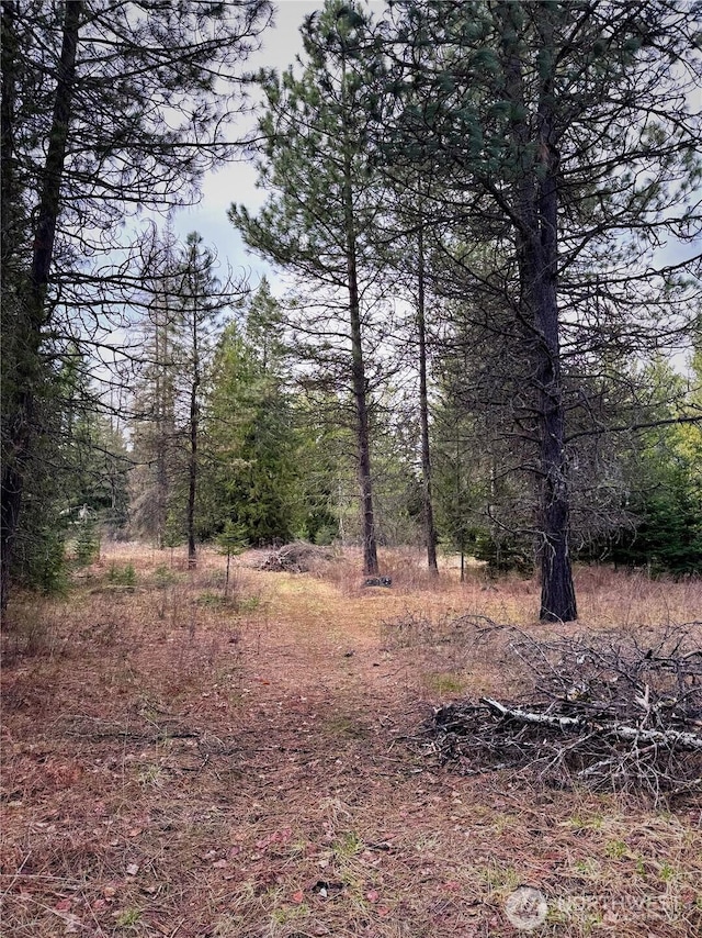 2100BLK E Eloika Lake Rd, Deer Park, WA 99006 - photo 23