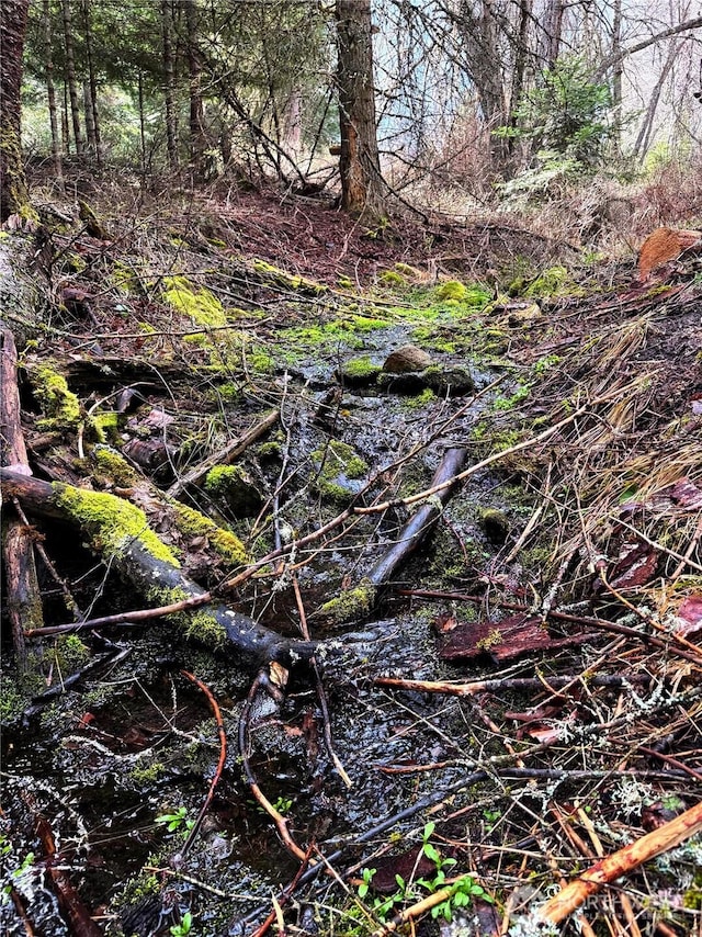 2100BLK E Eloika Lake Rd, Deer Park, WA 99006 - photo 24