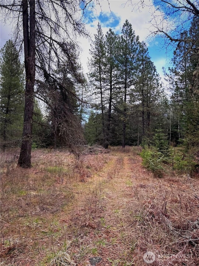 2100BLK E Eloika Lake Rd, Deer Park, WA 99006 - photo 25