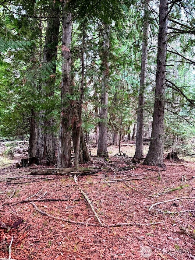 2100BLK E Eloika Lake Rd, Deer Park, WA 99006 - photo 27
