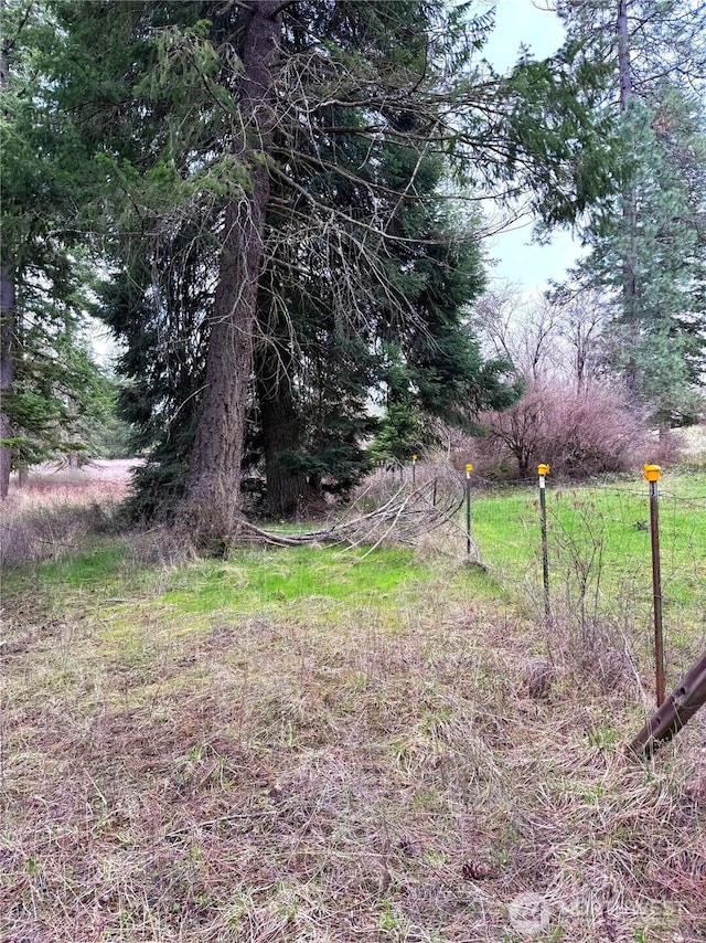 2100BLK E Eloika Lake Rd, Deer Park, WA 99006 - photo 28