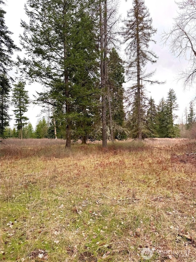 2100BLK E Eloika Lake Rd, Deer Park, WA 99006 - photo 29