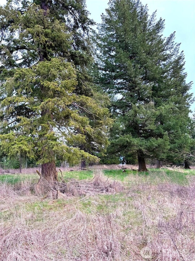 2100BLK E Eloika Lake Rd, Deer Park, WA 99006 - photo 30