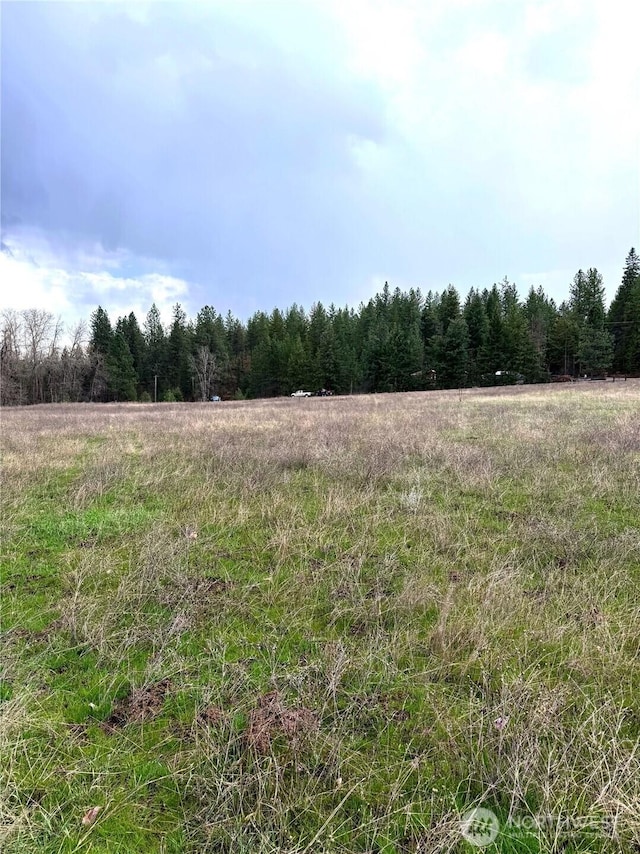 2100BLK E Eloika Lake Rd, Deer Park, WA 99006 - photo 31