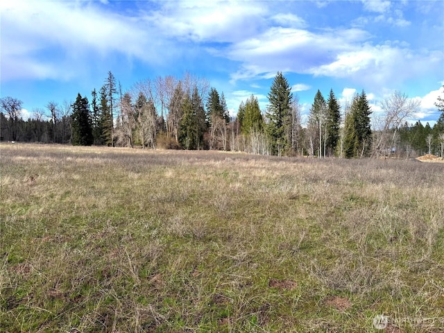 2100BLK E Eloika Lake Rd, Deer Park, WA 99006 - photo 34