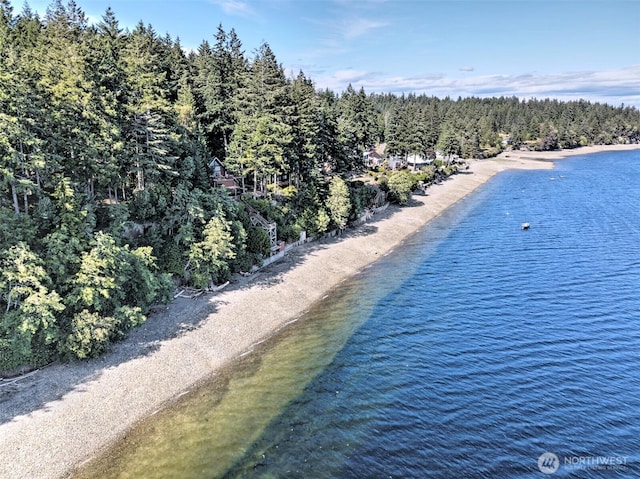 250 E Crest Ln, Grapeview, WA 98546 - bird's eye view of a heavily wooded area and a large body of water