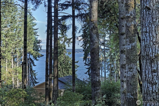 250 E Crest Ln, Grapeview, WA 98546 - water view