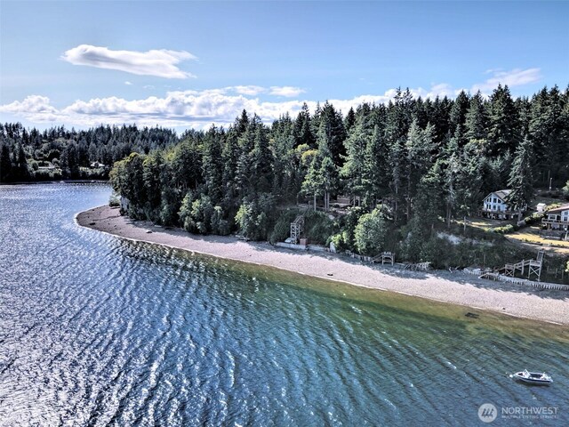 250 E Crest Ln, Grapeview, WA 98546 - aerial view of unending shoreline and a forest