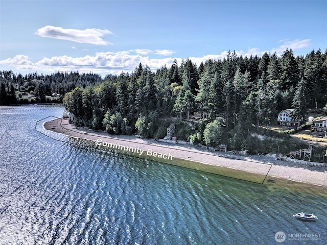 250 E Crest Ln, Grapeview, WA 98546 - aerial view of a forest and a nearby body of water