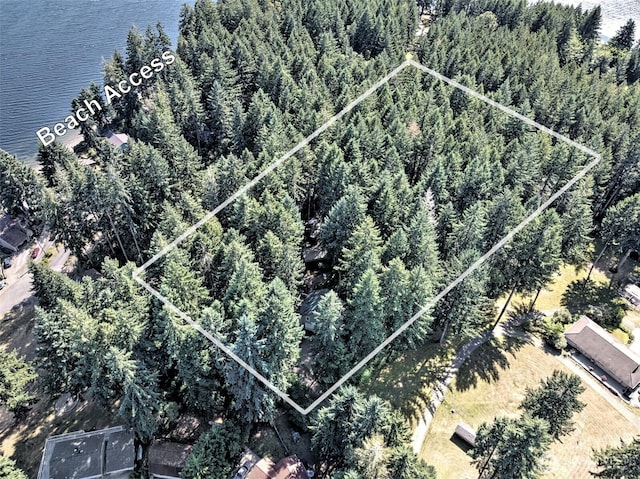 250 E Crest Ln, Grapeview, WA 98546 - aerial view of property and surrounding area with property boundaries highlighted and a large body of water
