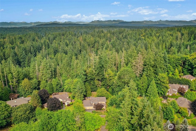 19500 189th Pl NE, Woodinville, WA 98077 - photo 40