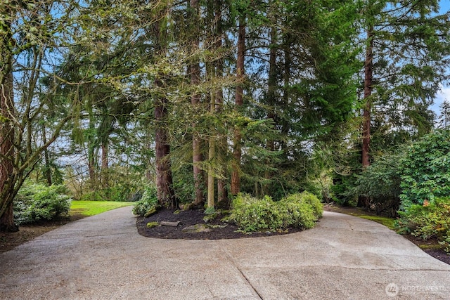 16521 NE 1st Pl, Bellevue, WA 98008 - photo 4