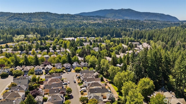 4245 249th Ct SE, Sammamish, WA 98029 - photo 34