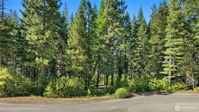 131 Goat Creek Ln, Cle Elum, WA 98922