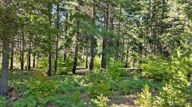 131 Goat Creek Ln, Cle Elum, WA 98922