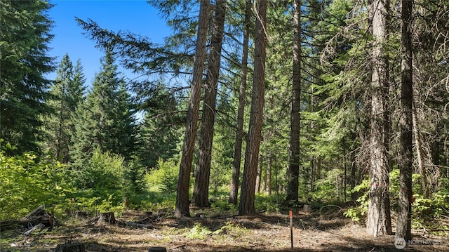 131 Goat Creek Ln, Cle Elum, WA 98922