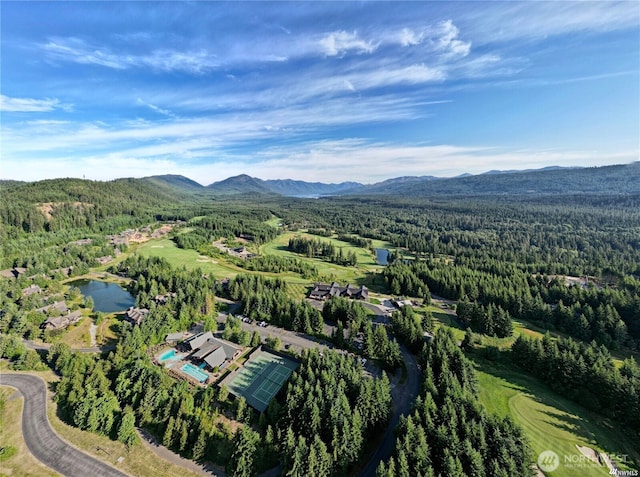 131 Goat Creek Ln, Cle Elum, WA 98922