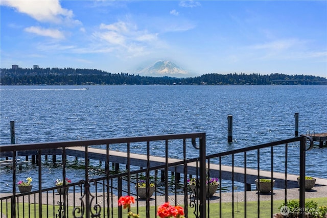 6669N NE Windermere Rd, Seattle, WA 98115 - photo 3