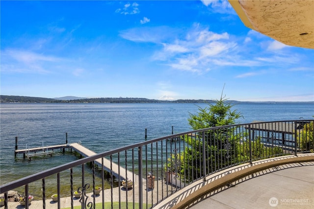 6669N NE Windermere Rd, Seattle, WA 98115 - photo 23