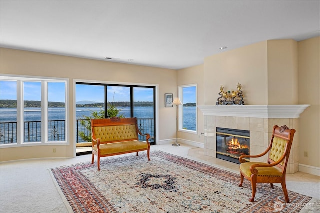 6669N NE Windermere Rd, Seattle, WA 98115 - photo 29