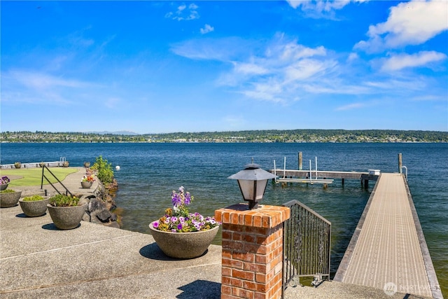 6669N NE Windermere Rd, Seattle, WA 98115 - photo 33