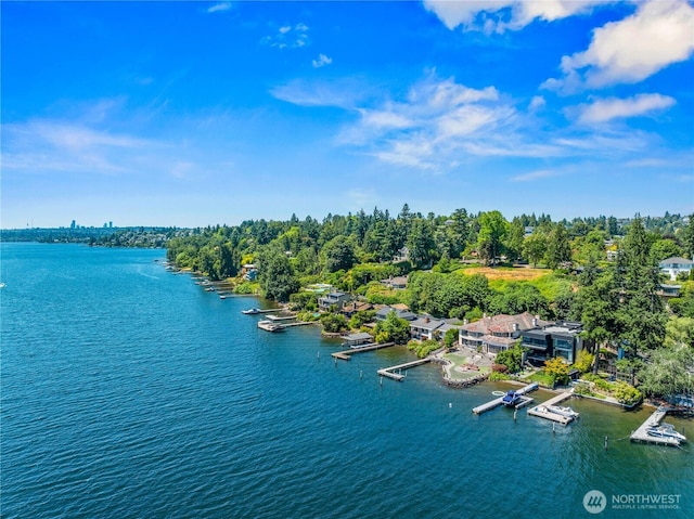 6669N NE Windermere Rd, Seattle, WA 98115 - photo 4