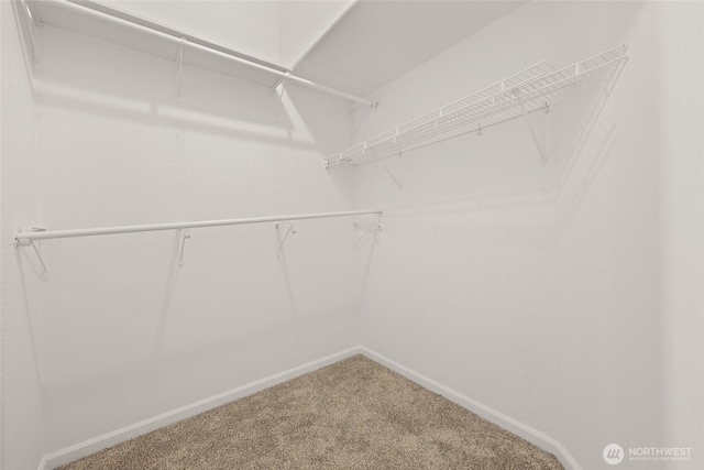 2411 Munson Ct SW, Olympia, WA 98512 - photo 20