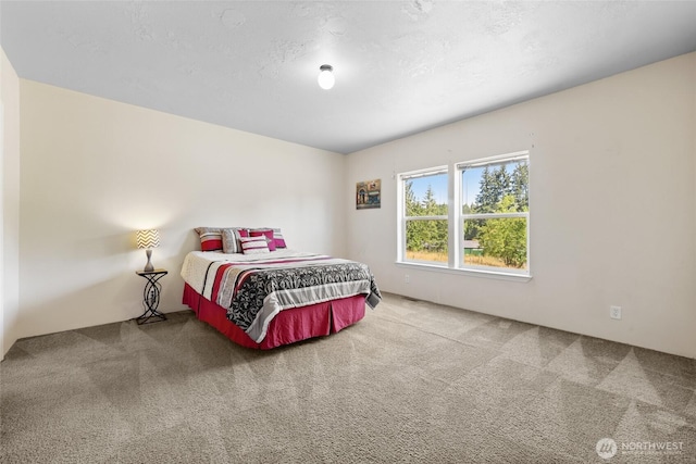 2411 Munson Ct SW, Olympia, WA 98512 - photo 29