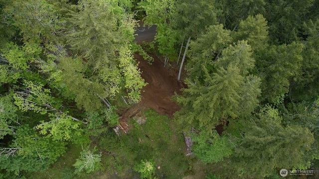 331 Rocky Brook Rd, Brinnon, WA 98320 - photo 9