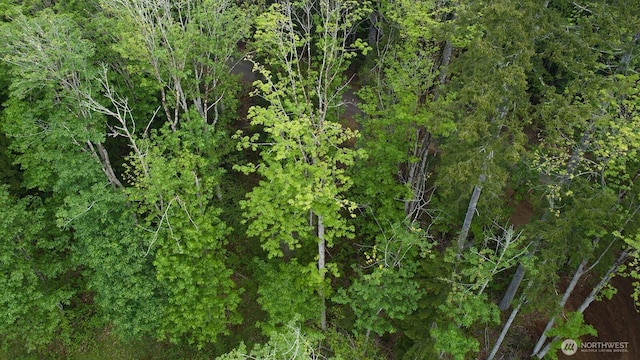 331 Rocky Brook Rd, Brinnon, WA 98320 - photo 10