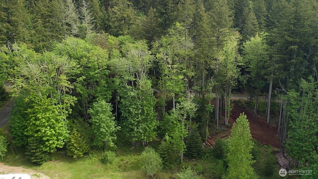 331 Rocky Brook Rd, Brinnon, WA 98320 - photo 11