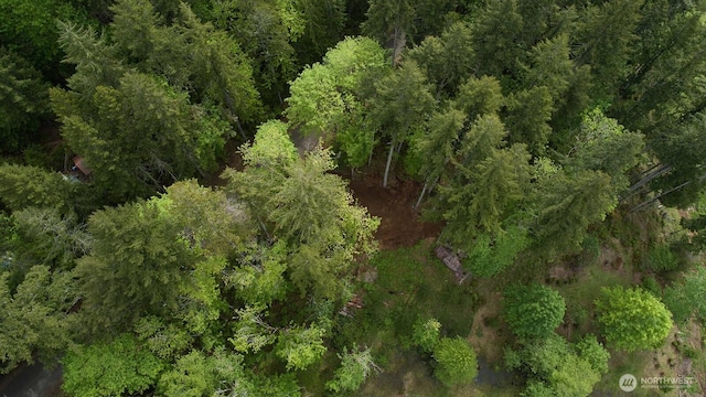 331 Rocky Brook Rd, Brinnon, WA 98320 - photo 12
