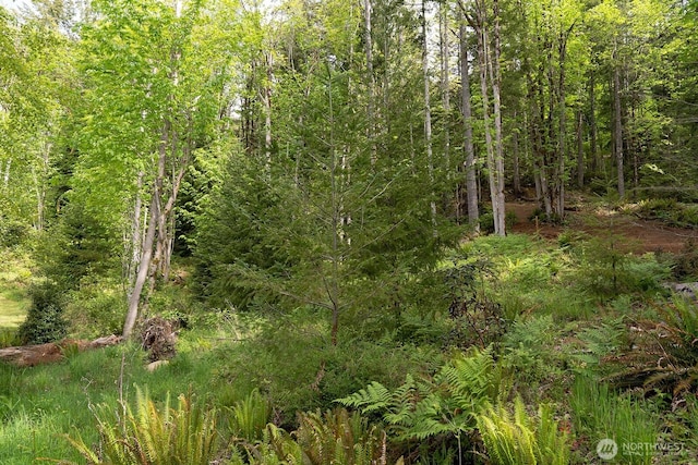 331 Rocky Brook Rd, Brinnon, WA 98320 - photo 16