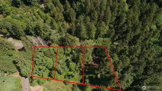 331 Rocky Brook Rd, Brinnon, WA 98320 - photo 25