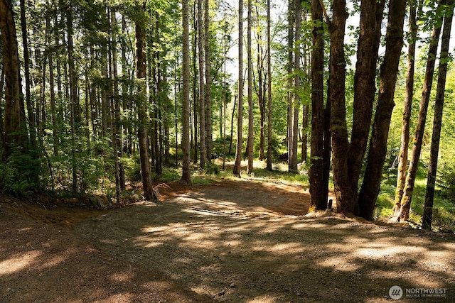 331 Rocky Brook Rd, Brinnon, WA 98320 - photo 3