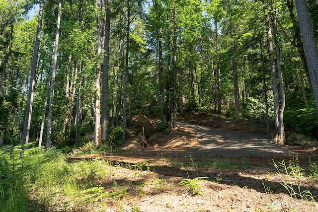 331 Rocky Brook Rd, Brinnon, WA 98320 - photo 4