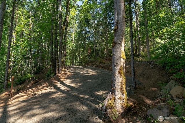331 Rocky Brook Rd, Brinnon, WA 98320 - photo 26