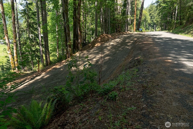 331 Rocky Brook Rd, Brinnon, WA 98320 - photo 28