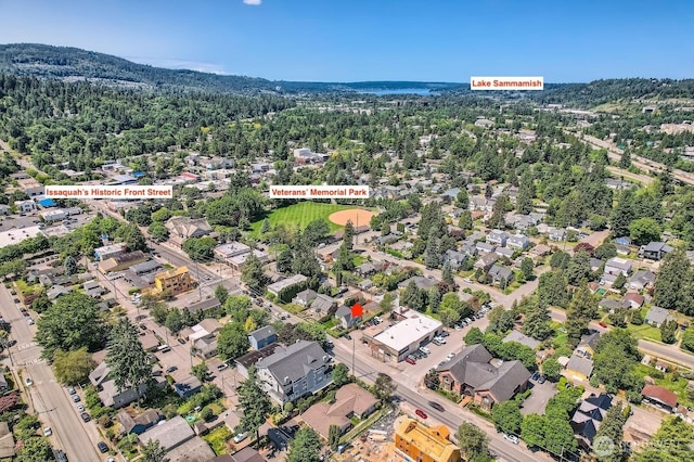 260 E Sunset Way, Issaquah, WA 98027 - photo 32