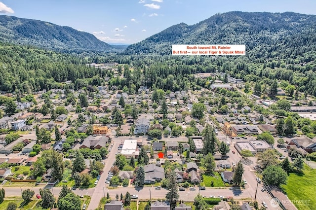 260 E Sunset Way, Issaquah, WA 98027 - photo 34