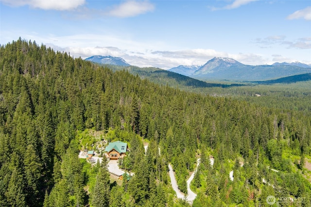 11411 Shugart Flats Rd, Leavenworth, WA 98826 - photo 6