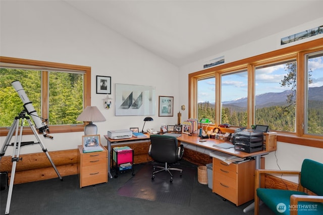 11411 Shugart Flats Rd, Leavenworth, WA 98826 - photo 31