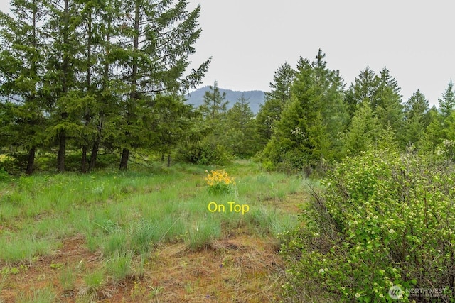 2420A Addy Gifford Rd, Addy, WA 99101 - photo 2