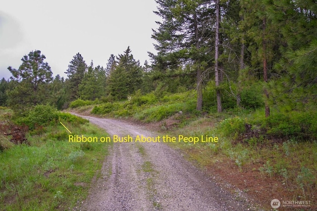 2420A Addy Gifford Rd, Addy, WA 99101 - photo 3