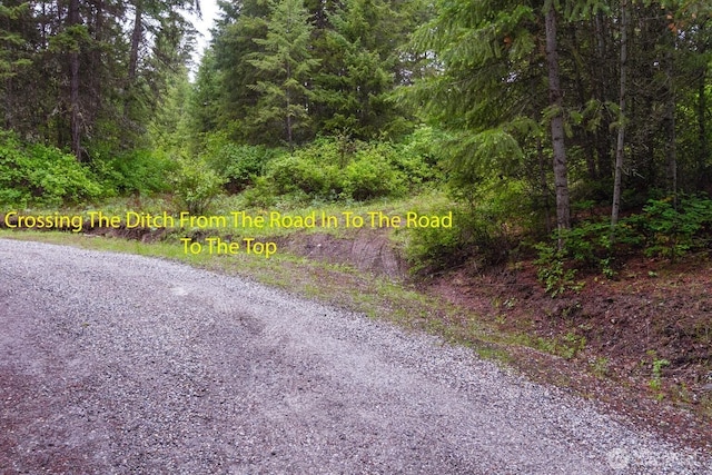 2420A Addy Gifford Rd, Addy, WA 99101 - photo 4