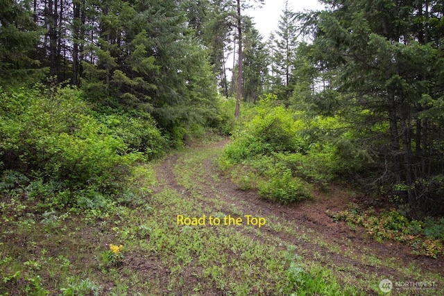 2420A Addy Gifford Rd, Addy, WA 99101 - photo 5