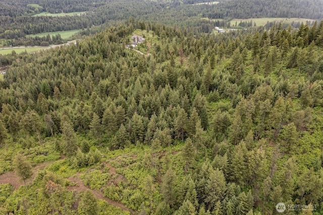 2420A Addy Gifford Rd, Addy, WA 99101 - photo 11